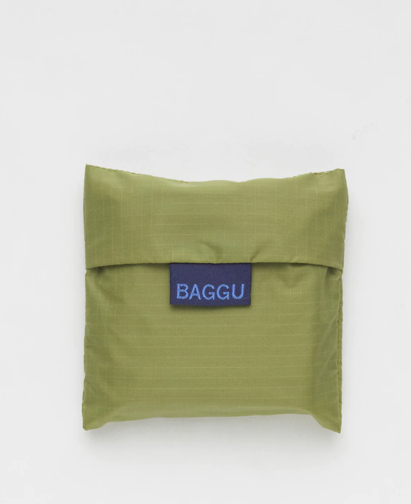 Standard Baggu - Pistachio